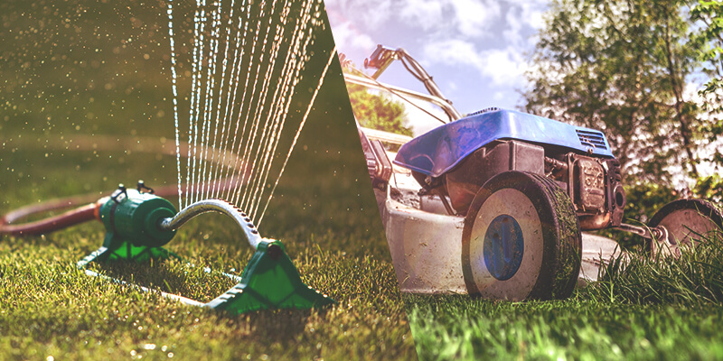 Vital aspects of lawn care