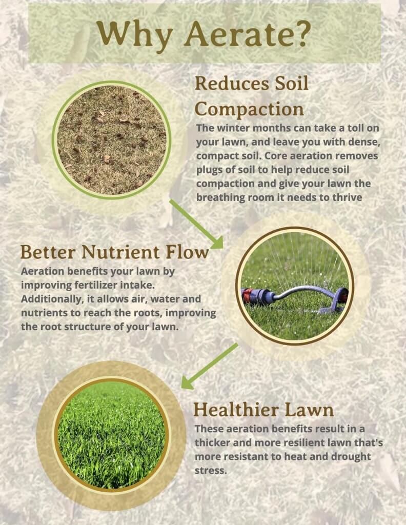 infographic explaining the benefits of aeration