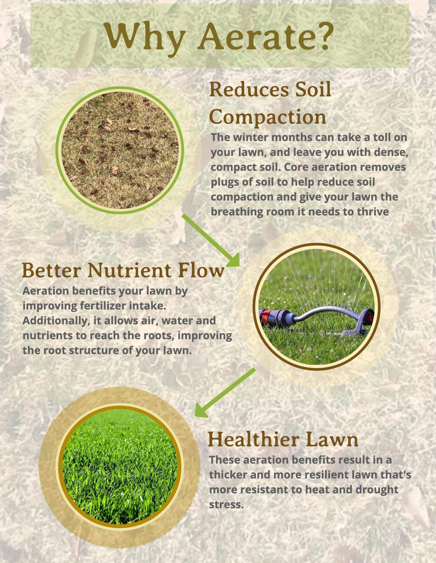 Aerating Zoysia Grass Tips for Compact Soils: Expert Lawn Care Guide