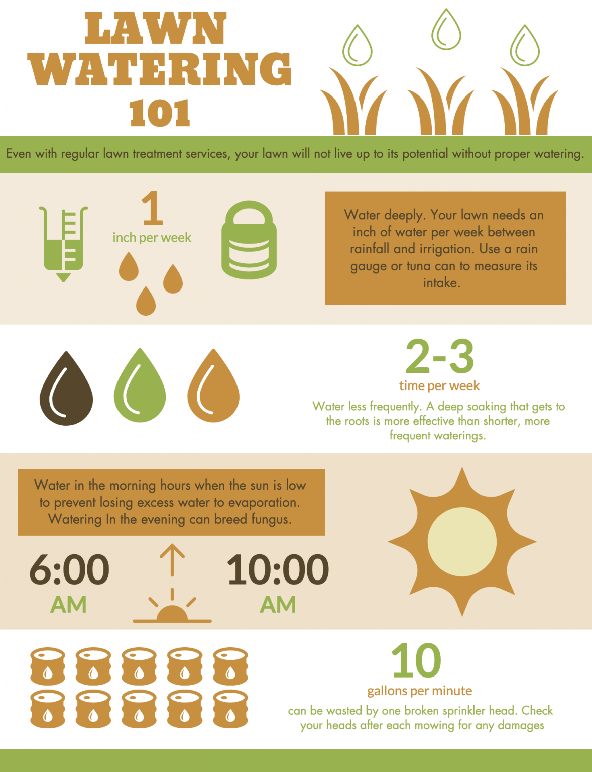 Don't Overwater Your Lawn Southern Lawns Lawn Care